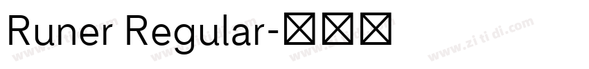 Runer Regular字体转换 Runer Regular字体转换